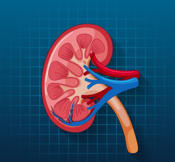 acute renal failure treatment in agra